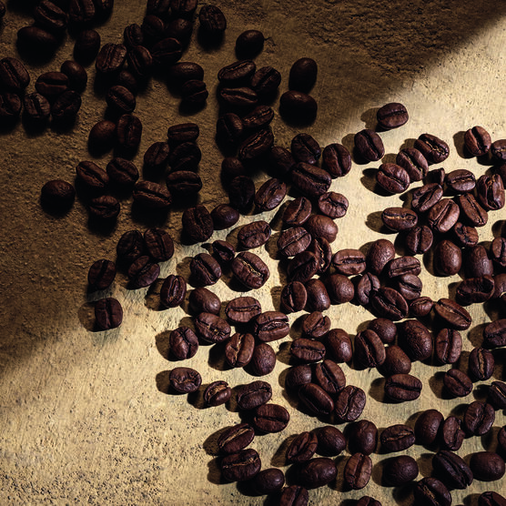 DG DEVOTION FOR MEN PARFUM 100ML